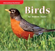 MACMILLAN Leveled Readers Grade 1 Animals - Birds