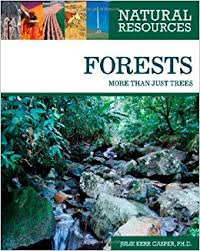 Natural Resources Forests More Than Just Trees