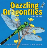 Dazzling Dragonflies A Life Cycle Story by Linda Glaser