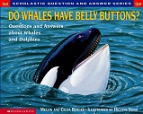 Do Whales Have Belly Buttons - Q and A SCHOLASTIC Do Whales Have Belly Buttons - Q and A SCHOLASTIC