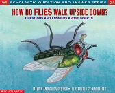 How do Flies Walk Upside Down - Q and A SCHOLASTIC How do Flies Walk Upside Down - Q and A SCHOLASTIC