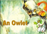 An Owlet (flash story)