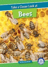 Take a Closer Look at Bees
