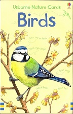Birds - Usborne Nature Cards