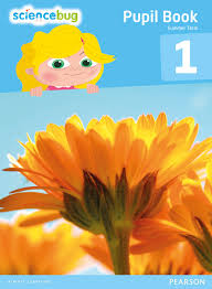 ScienceBug Pupil Book Year 1