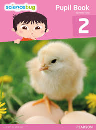 Science Bug Pupil Book Year 2 Science Bug Pupil Book Year 2