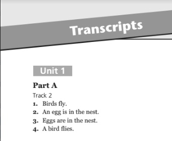 Active English Grammar 1 Transcripts