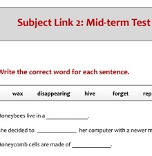 Subject Link L2 Tests Subject Link L2 Tests