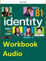 Identity B1 to B1 Plus Workbook Audio CDs
