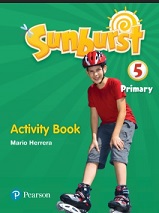 Sunburst Primary 5 Activity Book