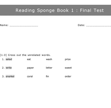 Reading Sponge 1 Tests Book Reading Sponge 1 Tests Book