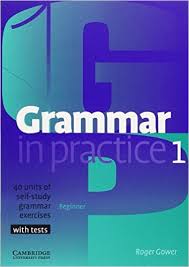 Grammar in Practice 1 Beginner - Roger Gower