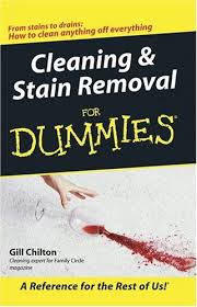 Cleaning and Stain Removal for Dummies Cleaning and Stain Removal for Dummies