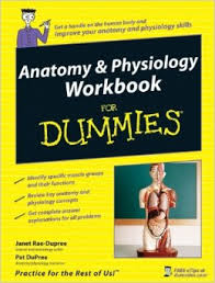 Anatomy And Physiology Workbook For Dummies