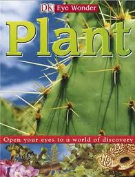 DK-Eye Wonder - Plant DK-Eye Wonder - Plant