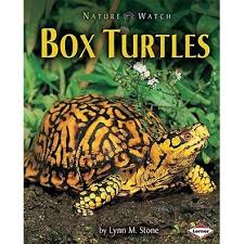 Box Turtles - Nature Watch Lynn M Stone Box Turtles - Nature Watch Lynn M Stone
