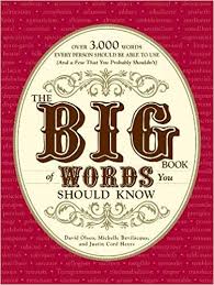 The Big Book Of Words You Should Know