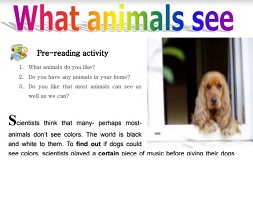 New Century Readings Level 1 New Century Readings Level 1