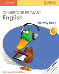 Cambridge Primary English 6 Activity Book