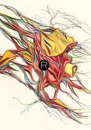 Rant An Oral Biography of Buster Casey by Chuck Palahniuk Rant An Oral Biography of Buster Casey by Chuck Palahniuk