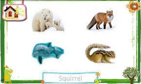 Playtime B Flashcards Playtime B Flashcards