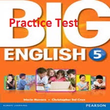 Big English 5 Practice Tests Big English 5 Practice Tests