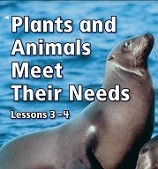 California Science Leveled Readers Grade 1 Plants and Animals Meet Their Needs 2 California Science Leveled Readers Grade 1 Plants and Animals Meet Their Needs 2