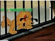 Disneys Magic English DVD20 - Wild Animals Disneys Magic English DVD20 - Wild Animals