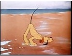 Disneys Magic English DVD33 - The Sea Disneys Magic English DVD33 - The Sea