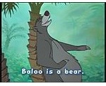 Disneys Magic English DVD40 - Wild Animal (Continue)