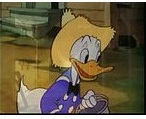 Disneys Magic English DVD43 - Country life 